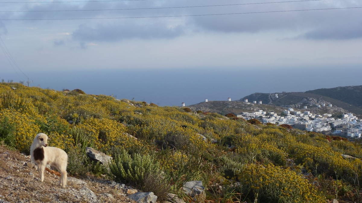 Kora capitale médiéval d'Amorgos, vue panoramique sur les Cyclades les plus proches