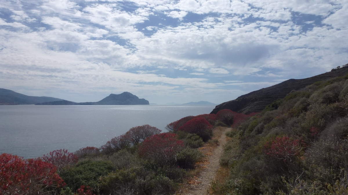 Imprégnée d'une authentique atmosphère des Cyclades, Amorgos est pour ceux qui recherchent la tranquillité, pour les amoureux de la nature et des randonnées à pied