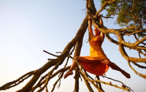 Stages Danse Théâtre - Les Furieuses - Brigitte accroché dans un arbre